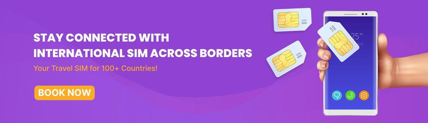 Stay Connected With International SIM Across Borders - Your Travel SIM for 100+ Countries